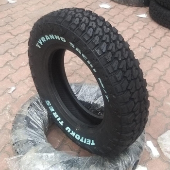 195R16C TEITOKU China